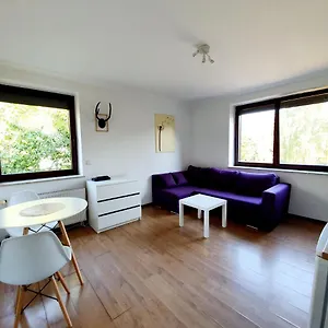 Studio Zubrova Gdańsk